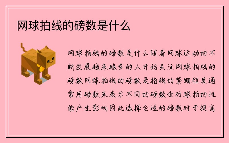 网球拍线的磅数是什么