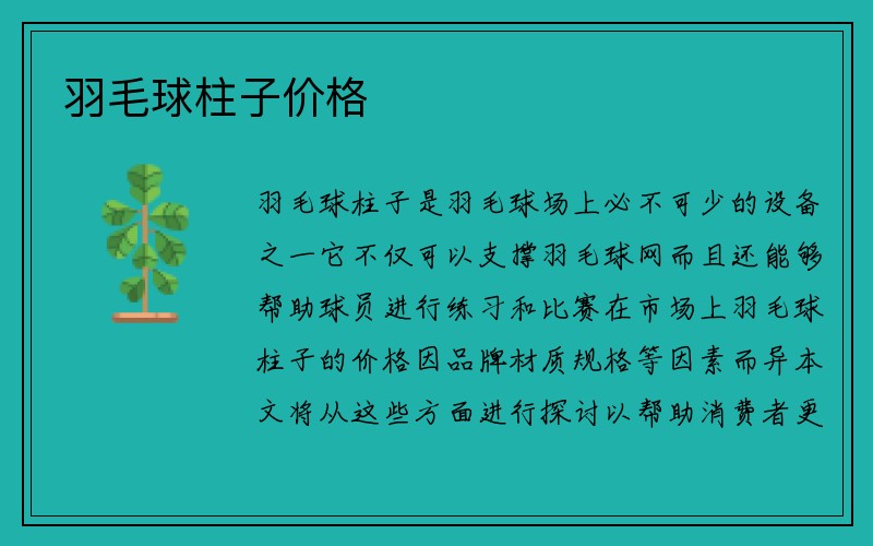 羽毛球柱子价格