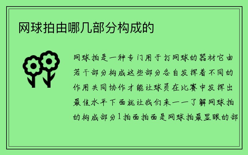 网球拍由哪几部分构成的