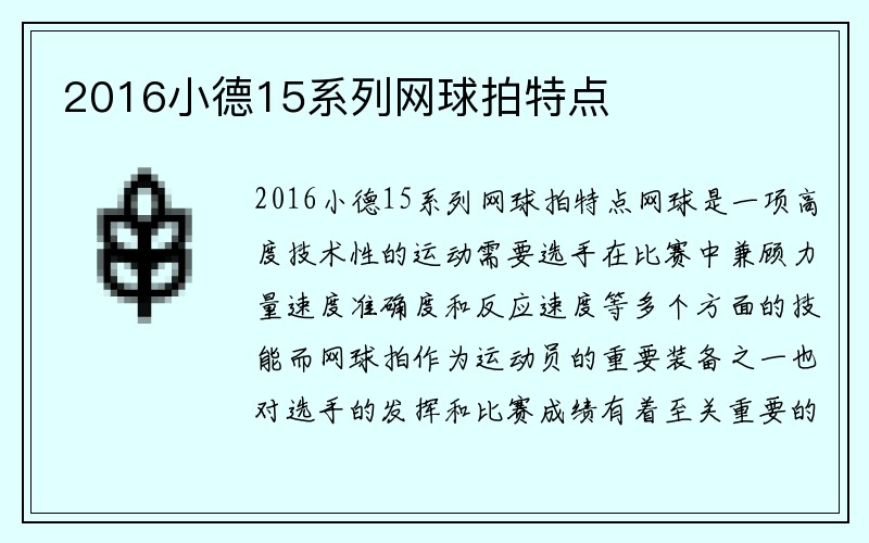 2016小德15系列网球拍特点