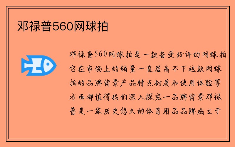 邓禄普560网球拍